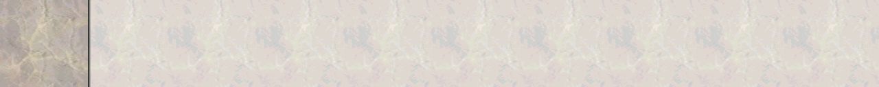 Border 4